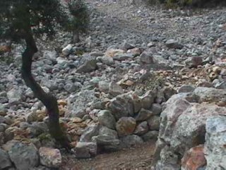 PIEDRA (5)